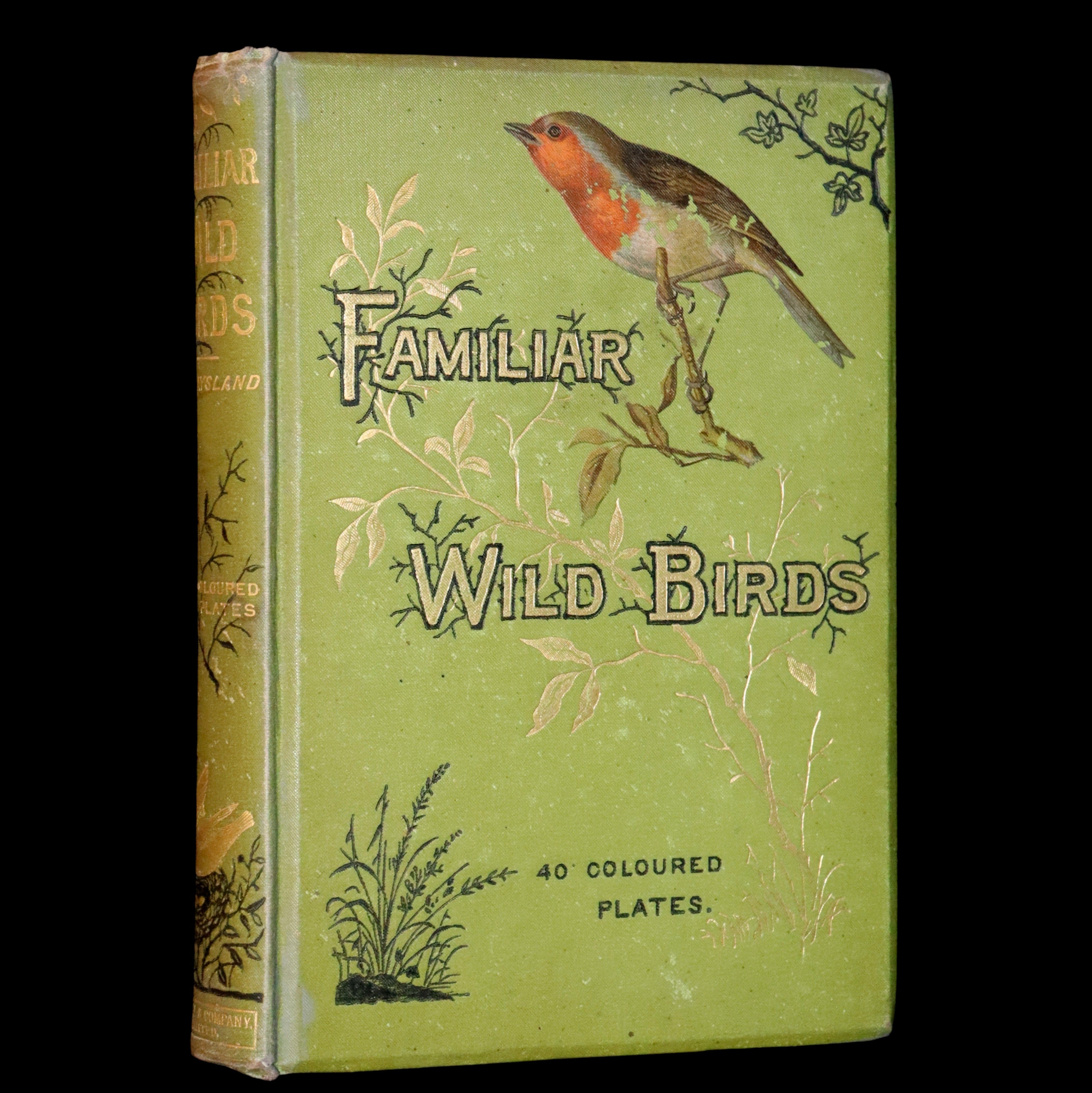 1883 Rare Ornithology First Edition ~ Familiar Wild Birds by