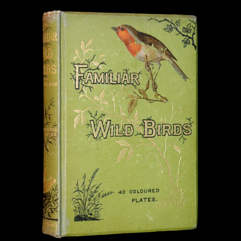 1883 Rare Ornithology First Edition ~ Familiar Wild Birds by Walter Swaysland.