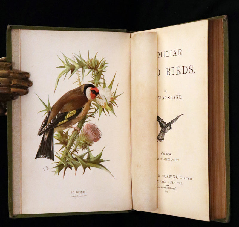 1883 Rare Ornithology First Edition ~ Familiar Wild Birds by Walter Swaysland.