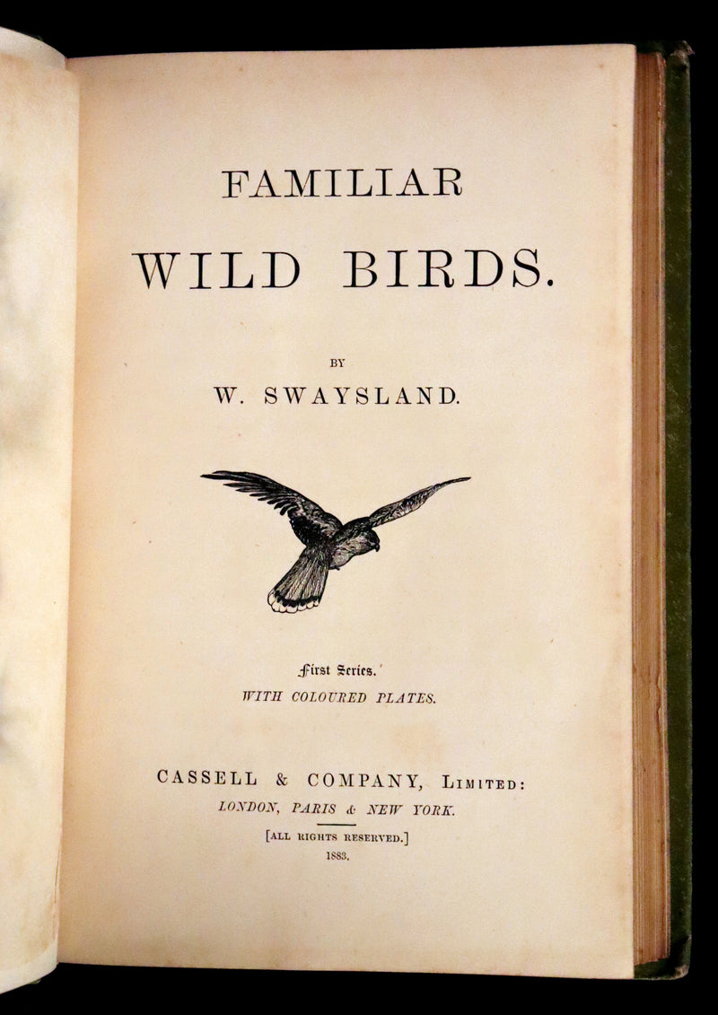 1883 Rare Ornithology First Edition ~ Familiar Wild Birds by Walter Swaysland.