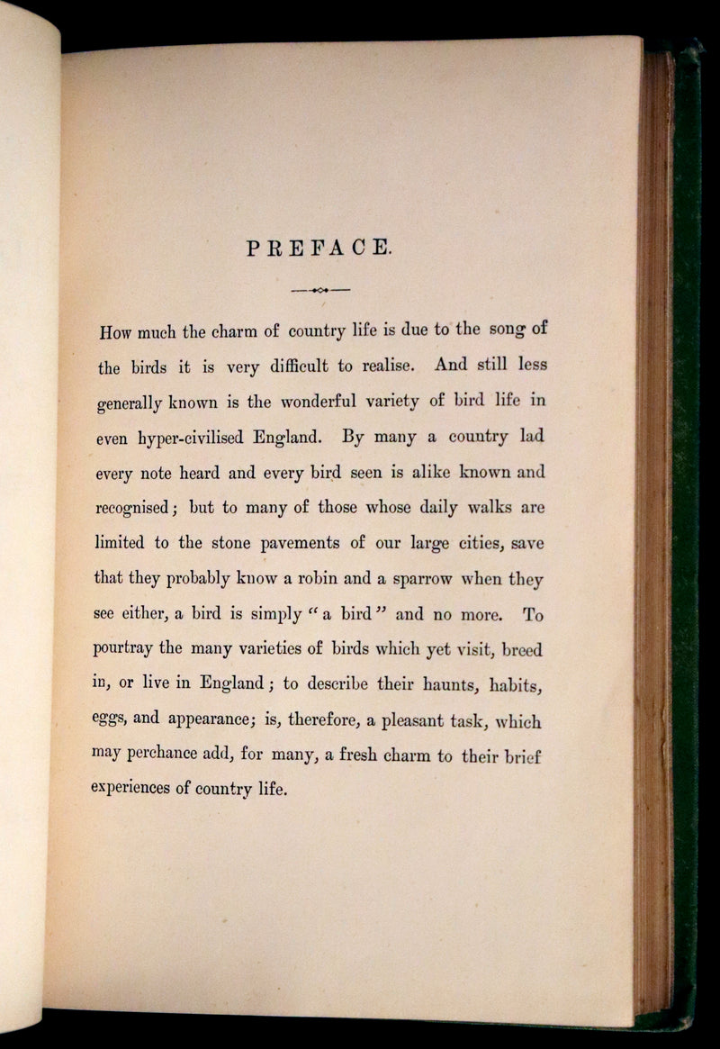 1883 Rare Ornithology First Edition ~ Familiar Wild Birds by Walter Swaysland.