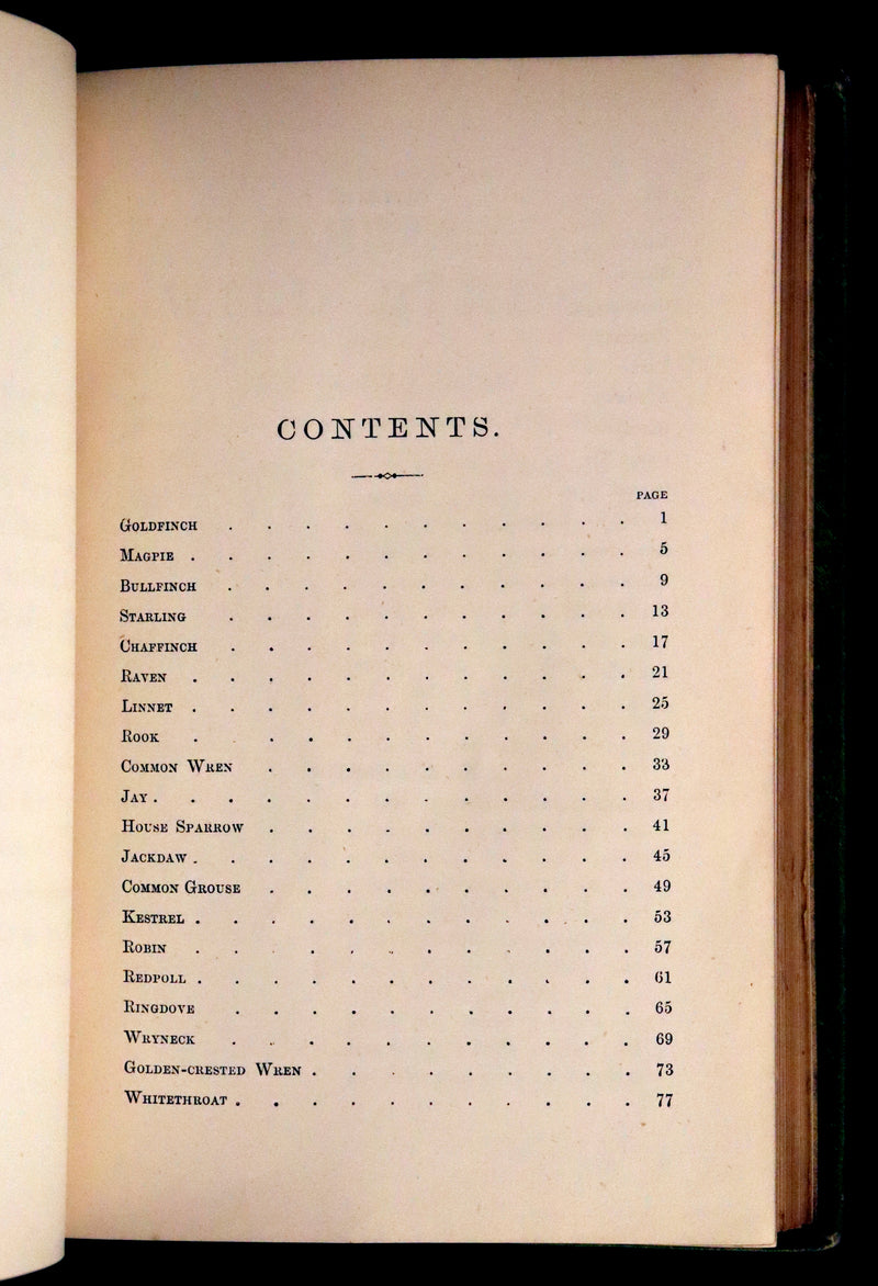 1883 Rare Ornithology First Edition ~ Familiar Wild Birds by Walter Swaysland.
