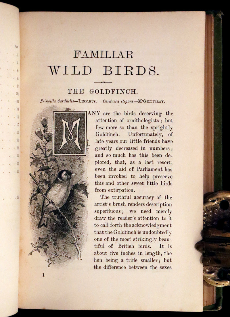 1883 Rare Ornithology First Edition ~ Familiar Wild Birds by Walter Swaysland.
