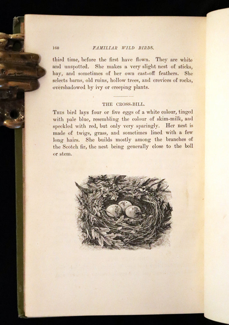 1883 Rare Ornithology First Edition ~ Familiar Wild Birds by Walter Swaysland.