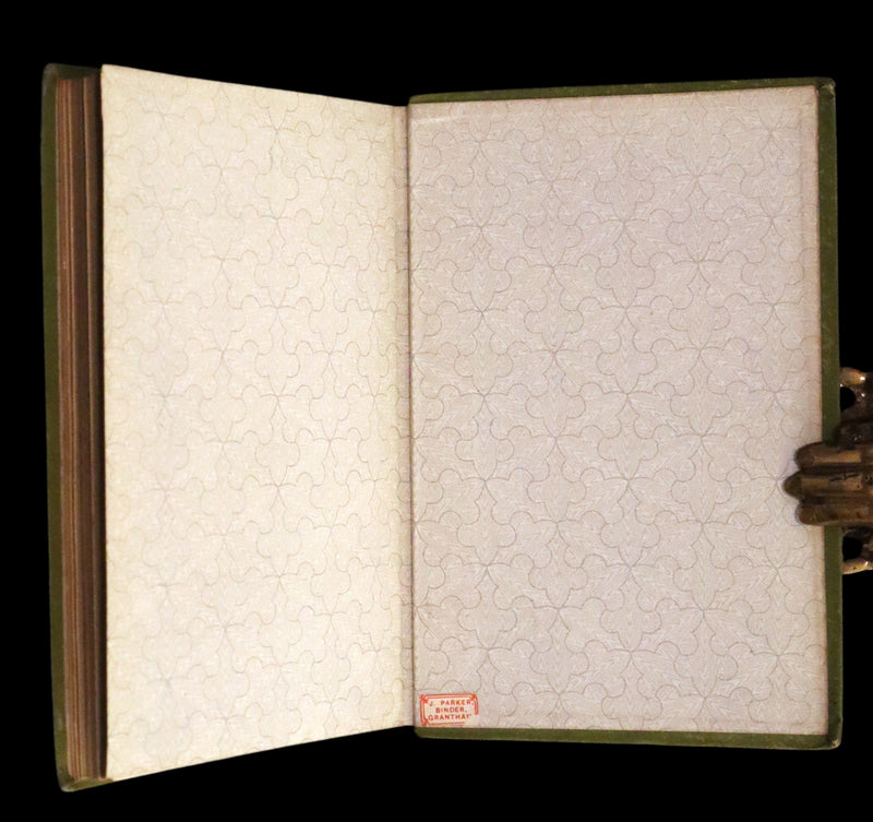 1883 Rare Ornithology First Edition ~ Familiar Wild Birds by Walter Swaysland.