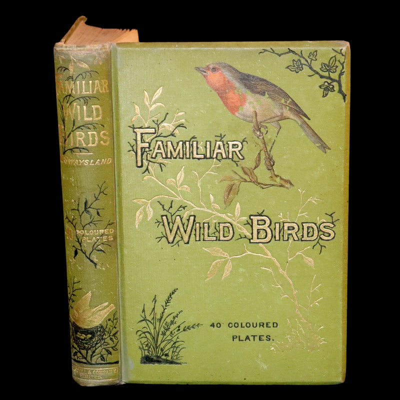 1883 Rare Ornithology First Edition ~ Familiar Wild Birds by Walter Swaysland.