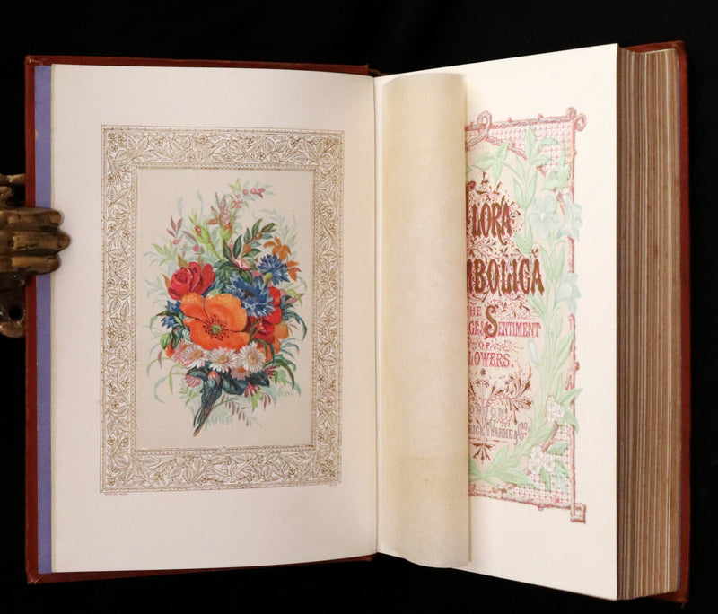 1869 Scarce Floriography Book ~ Flora Symbolica or The Language and Sentiment of Flowers by John Ingram.