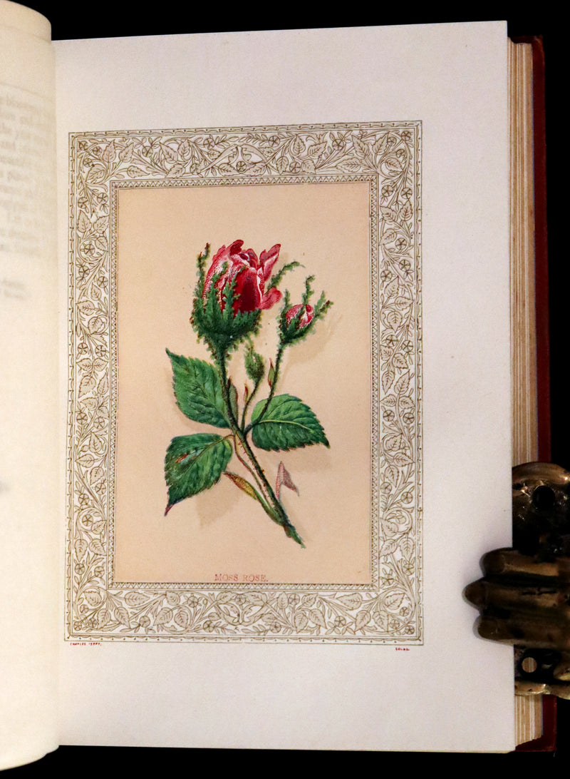 1869 Scarce Floriography Book ~ Flora Symbolica or The Language and Sentiment of Flowers by John Ingram.