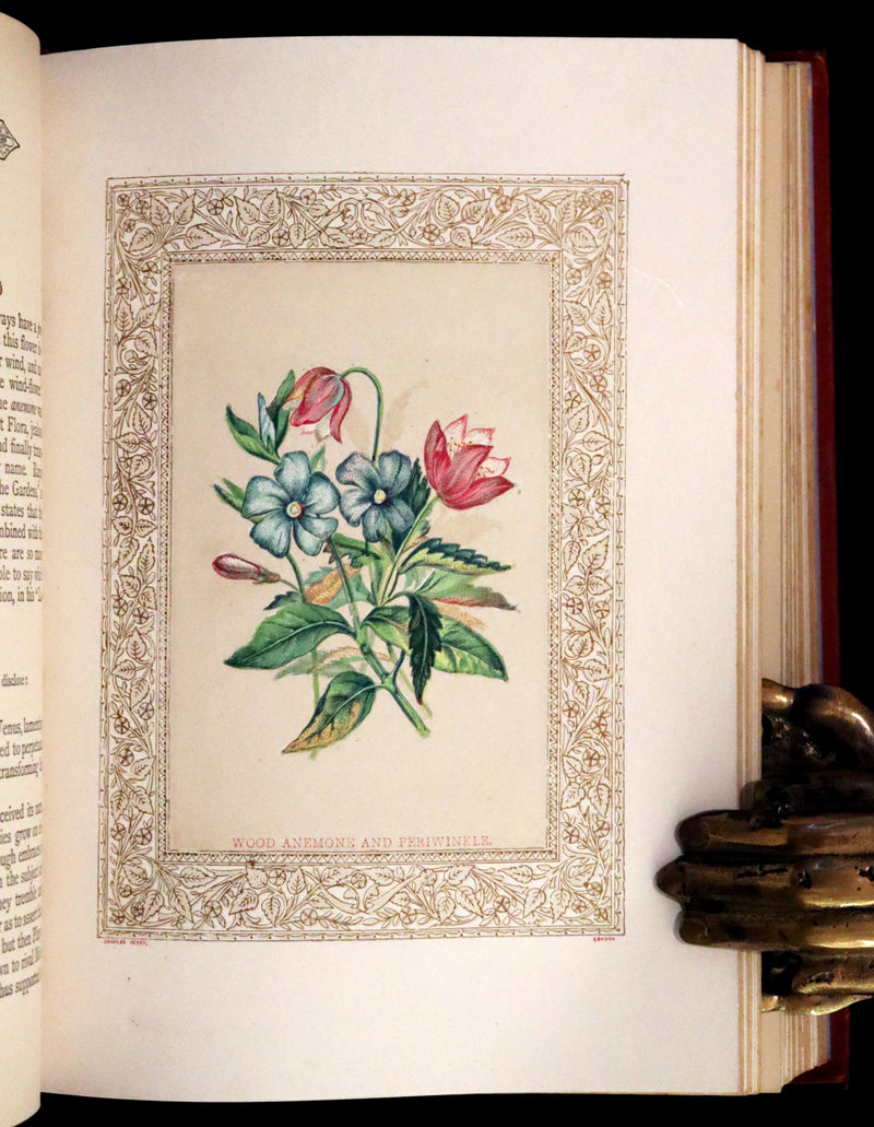 1869 Scarce Floriography Book ~ Flora Symbolica or The Language and Sentiment of Flowers by John Ingram.