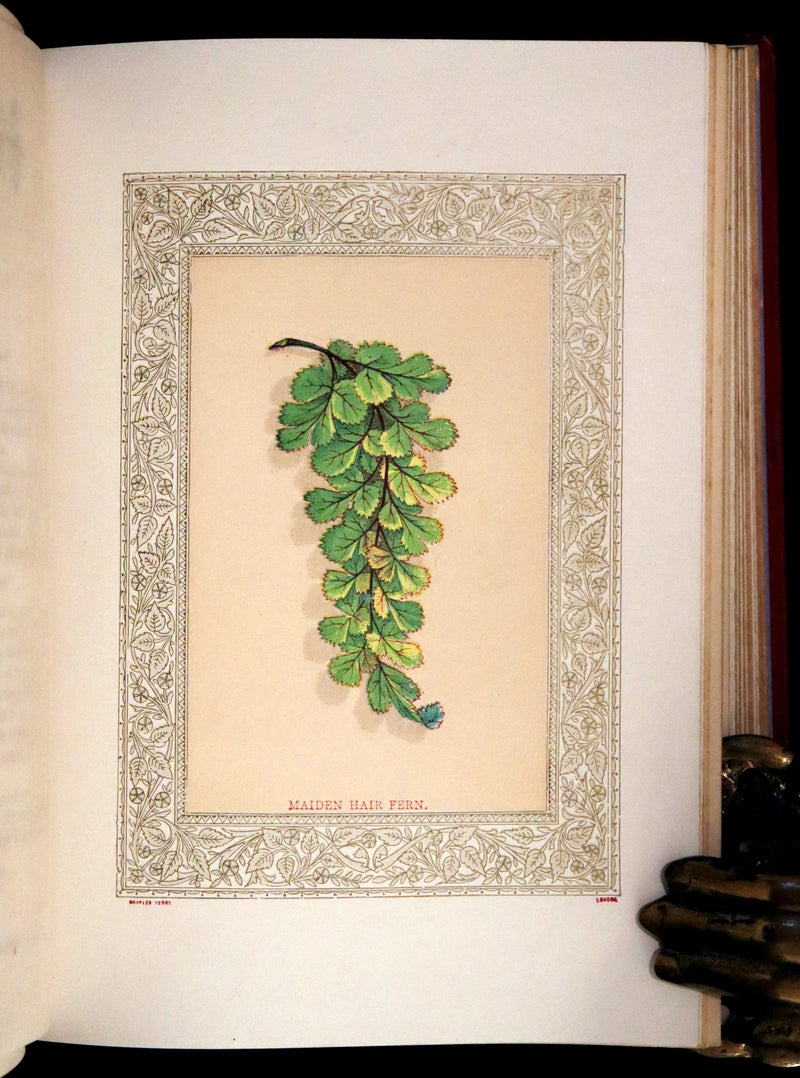 1869 Scarce Floriography Book ~ Flora Symbolica or The Language and Sentiment of Flowers by John Ingram.