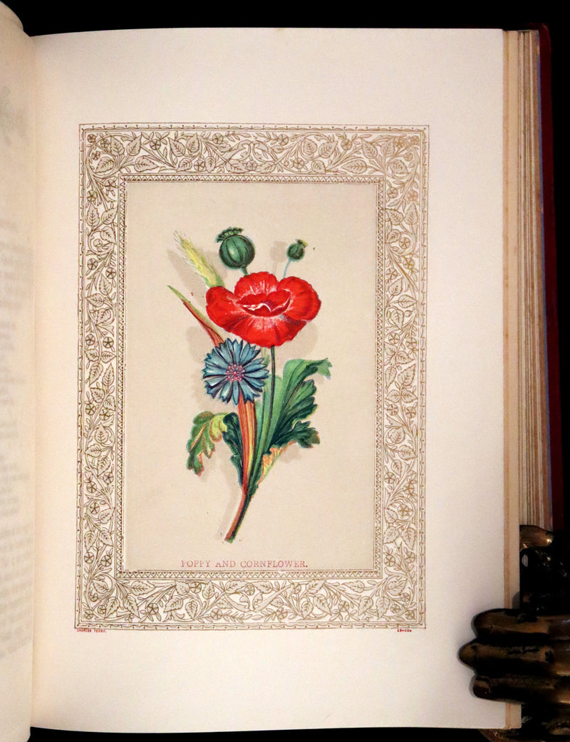 1869 Scarce Floriography Book ~ Flora Symbolica or The Language and Sentiment of Flowers by John Ingram.
