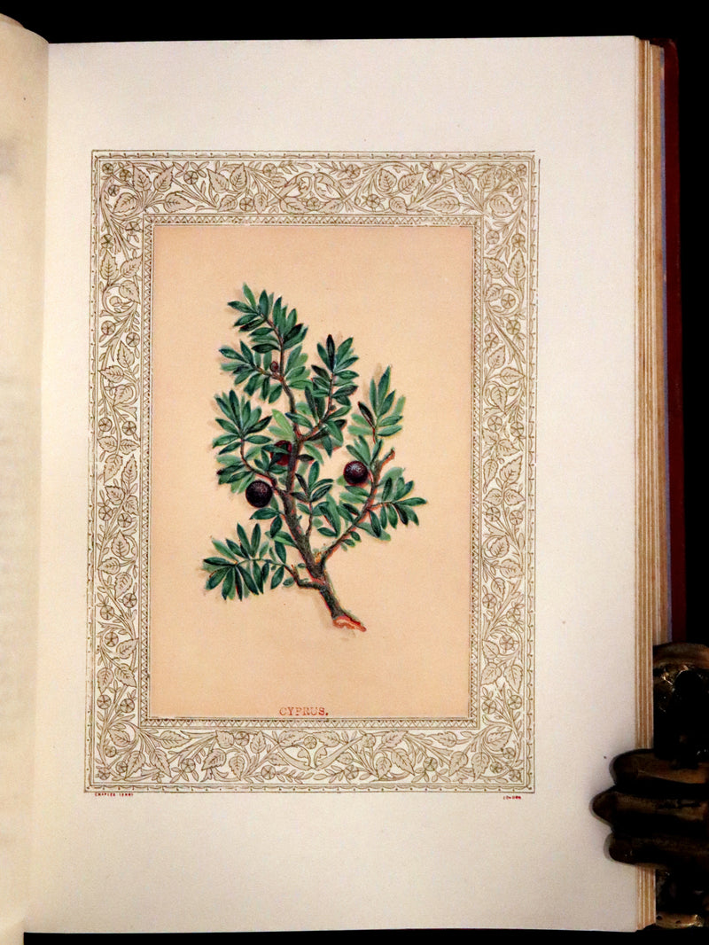 1869 Scarce Floriography Book ~ Flora Symbolica or The Language and Sentiment of Flowers by John Ingram.