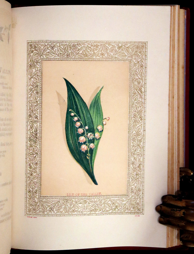 1869 Scarce Floriography Book ~ Flora Symbolica or The Language and Sentiment of Flowers by John Ingram.