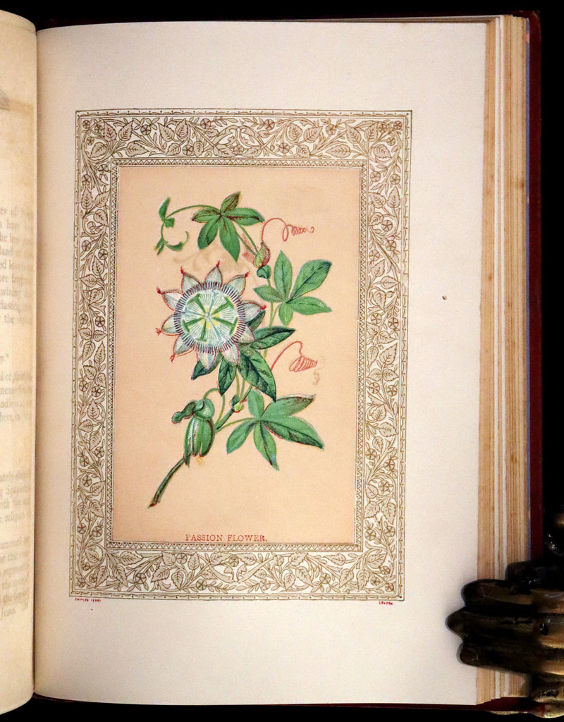 1869 Scarce Floriography Book ~ Flora Symbolica or The Language and Sentiment of Flowers by John Ingram.
