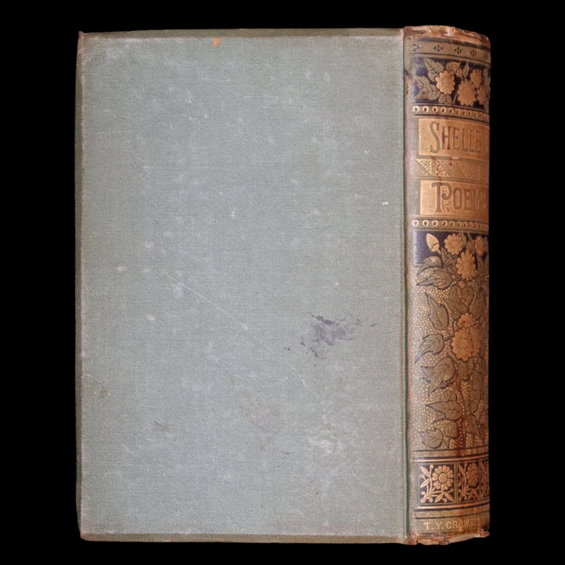 1890 Rare Victorian Book - The Poetical Works of Percy Bysshe Shelley. Illustrated.