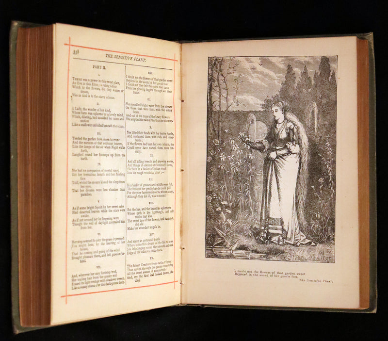 1890 Rare Victorian Book - The Poetical Works of Percy Bysshe Shelley. Illustrated.