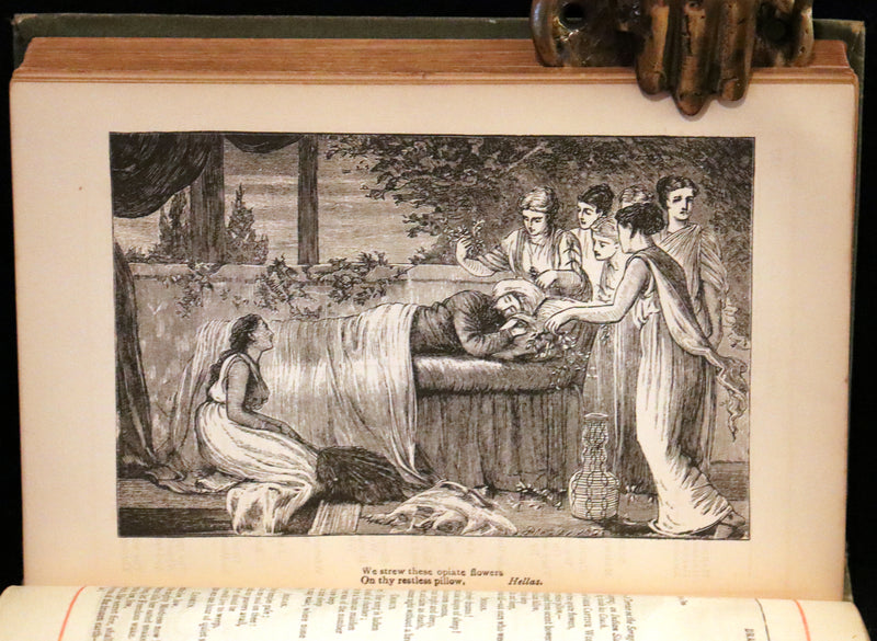 1890 Rare Victorian Book - The Poetical Works of Percy Bysshe Shelley. Illustrated.
