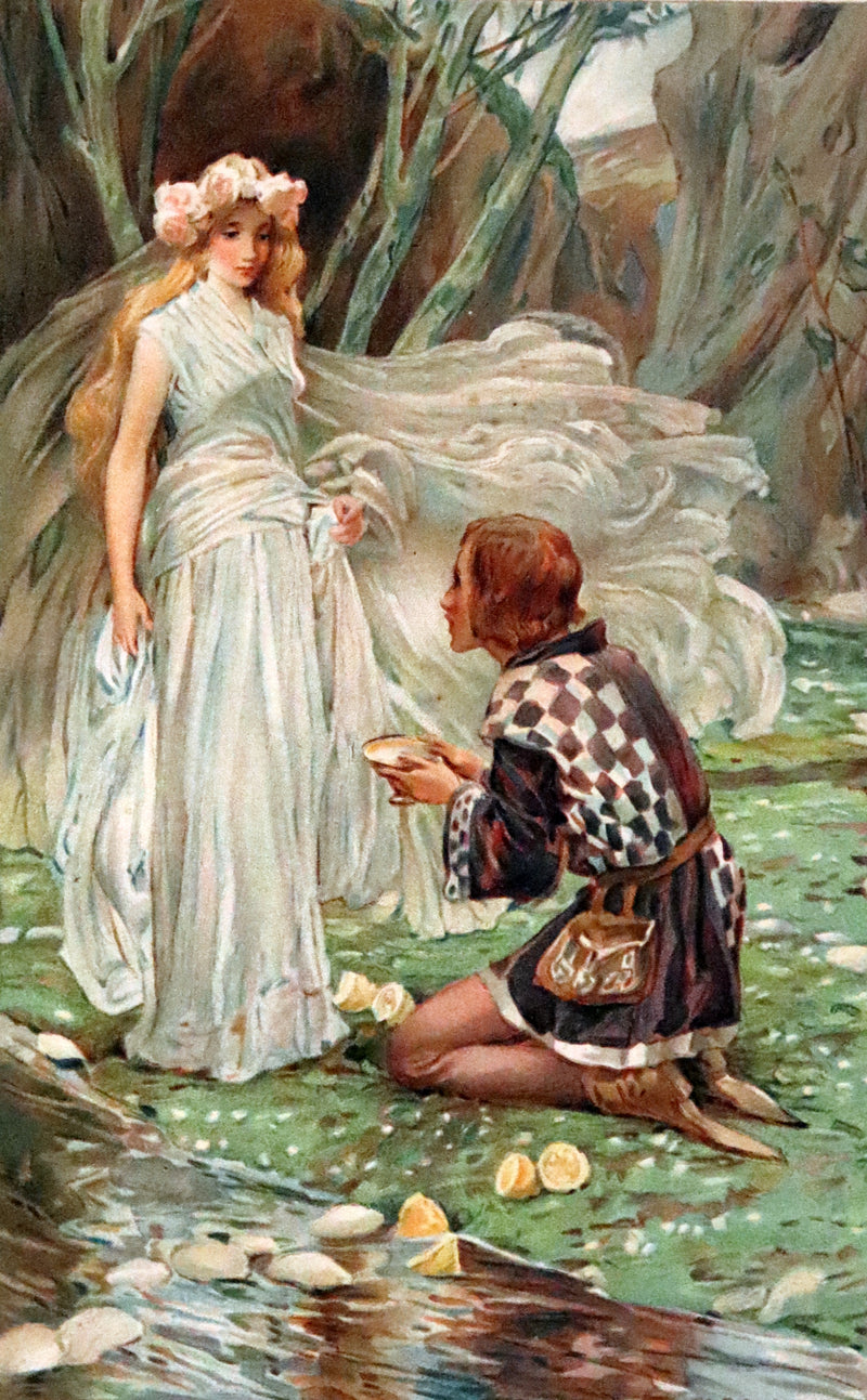 1908 Scarce Book - Fairy Tales by Edouard Laboulaye Illustrated by Arthur A. Dixon.