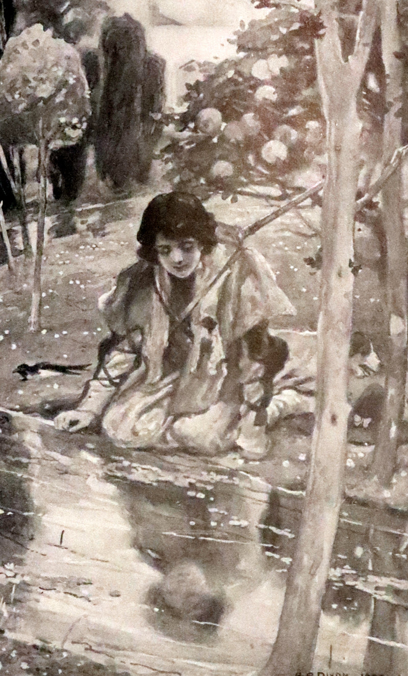 1908 Scarce Book - Fairy Tales by Edouard Laboulaye Illustrated by Arthur A. Dixon.