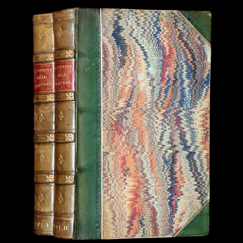 1848 Rare First Edition Set -  Favourite Field Flowers; or, Wild Flowers of England by Robert Tyas.