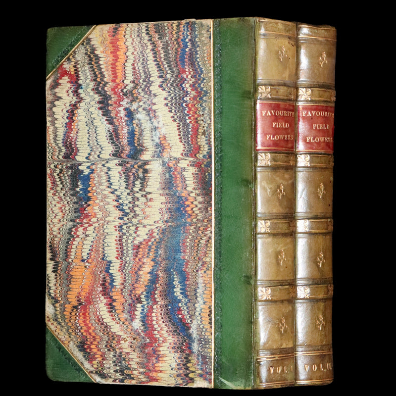 1848 Rare First Edition Set -  Favourite Field Flowers; or, Wild Flowers of England by Robert Tyas.
