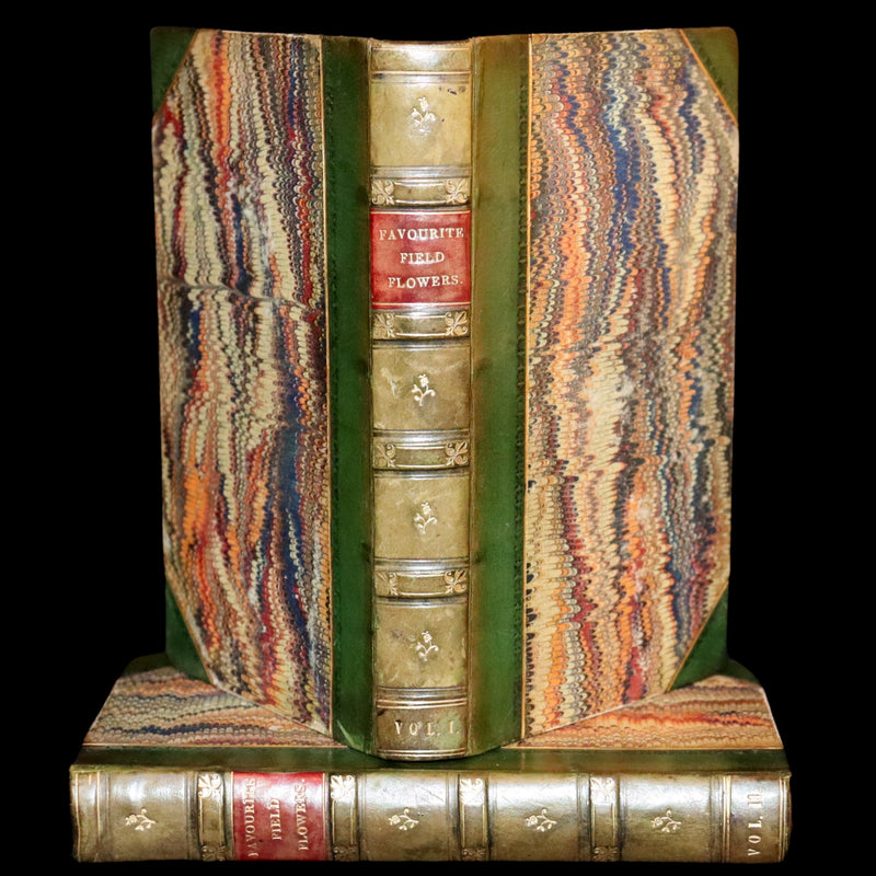 1848 Rare First Edition Set -  Favourite Field Flowers; or, Wild Flowers of England by Robert Tyas.
