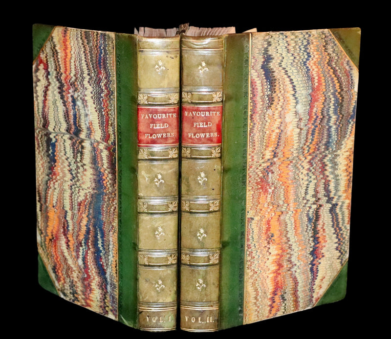 1848 Rare First Edition Set -  Favourite Field Flowers; or, Wild Flowers of England by Robert Tyas.