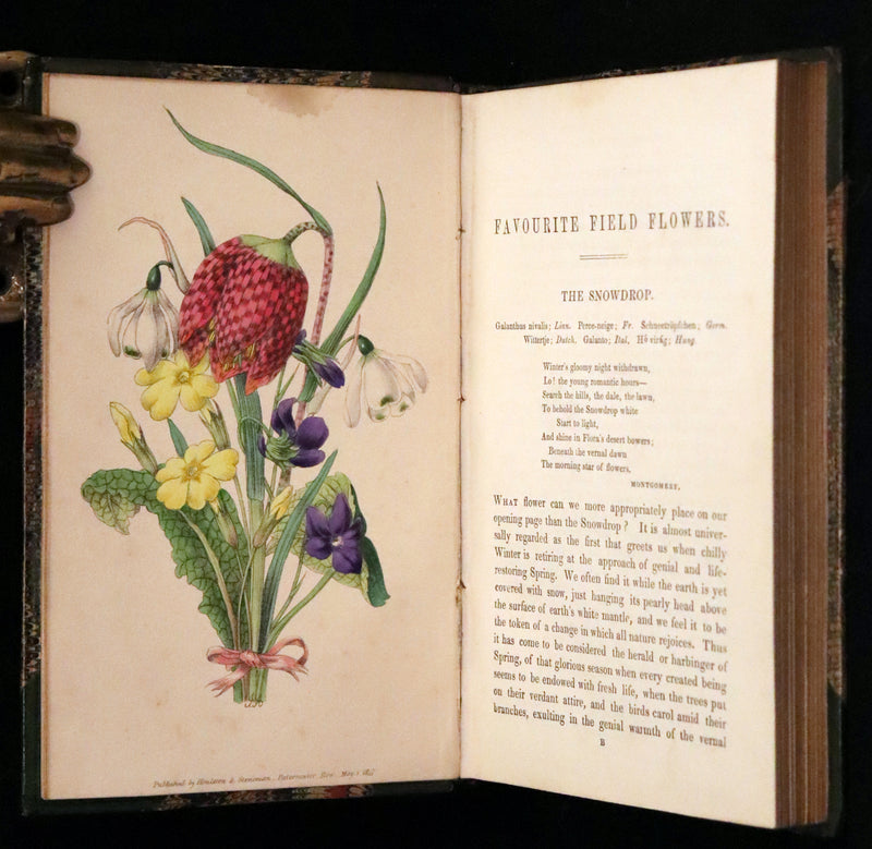 1848 Rare First Edition Set -  Favourite Field Flowers; or, Wild Flowers of England by Robert Tyas.