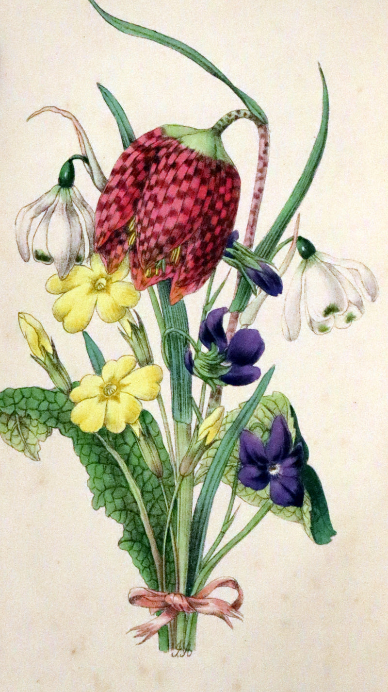 1848 Rare First Edition Set -  Favourite Field Flowers; or, Wild Flowers of England by Robert Tyas.