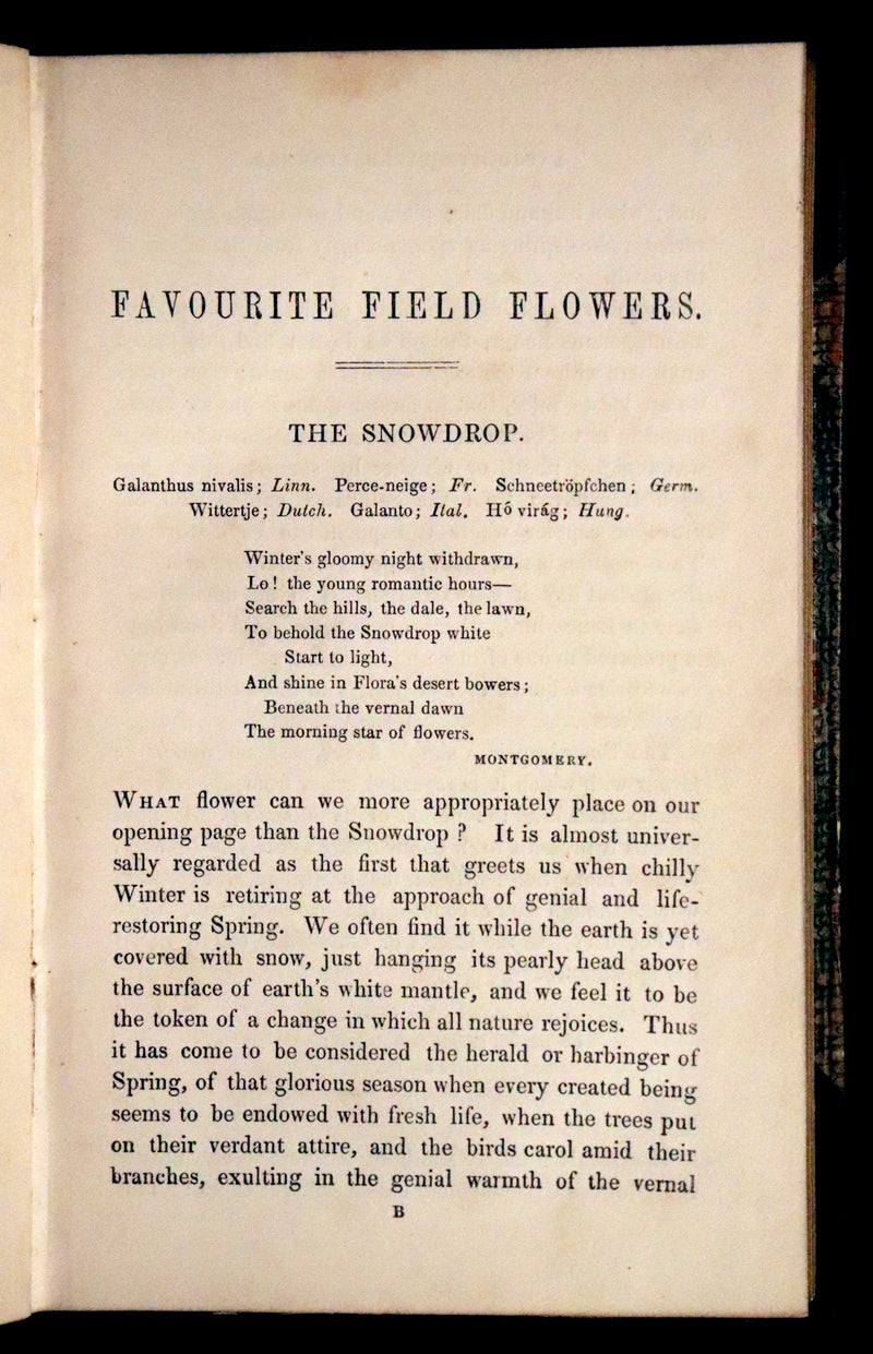 1848 Rare First Edition Set -  Favourite Field Flowers; or, Wild Flowers of England by Robert Tyas.
