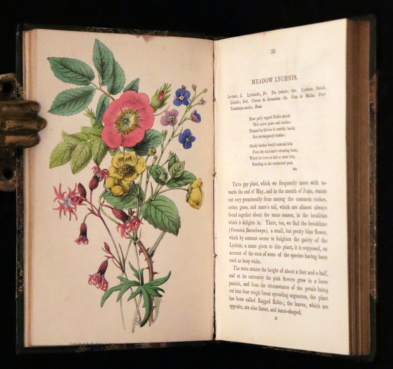 1848 Rare First Edition Set -  Favourite Field Flowers; or, Wild Flowers of England by Robert Tyas.