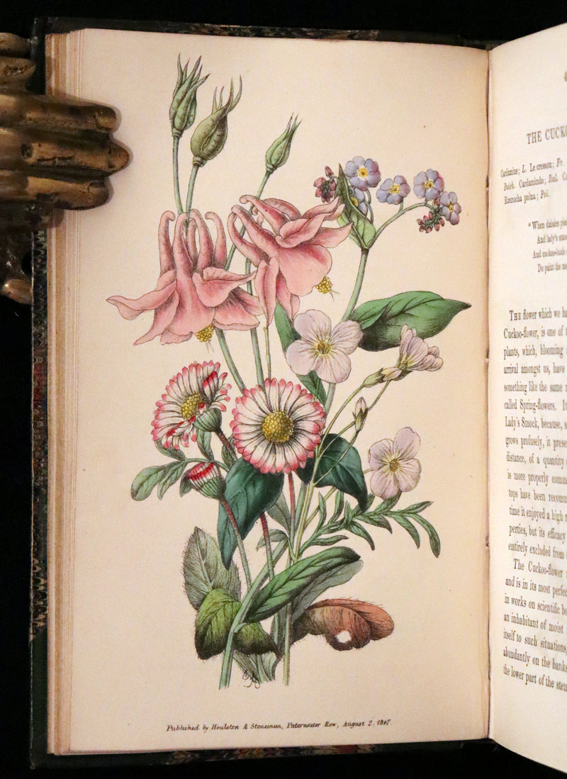 1848 Rare First Edition Set -  Favourite Field Flowers; or, Wild Flowers of England by Robert Tyas.