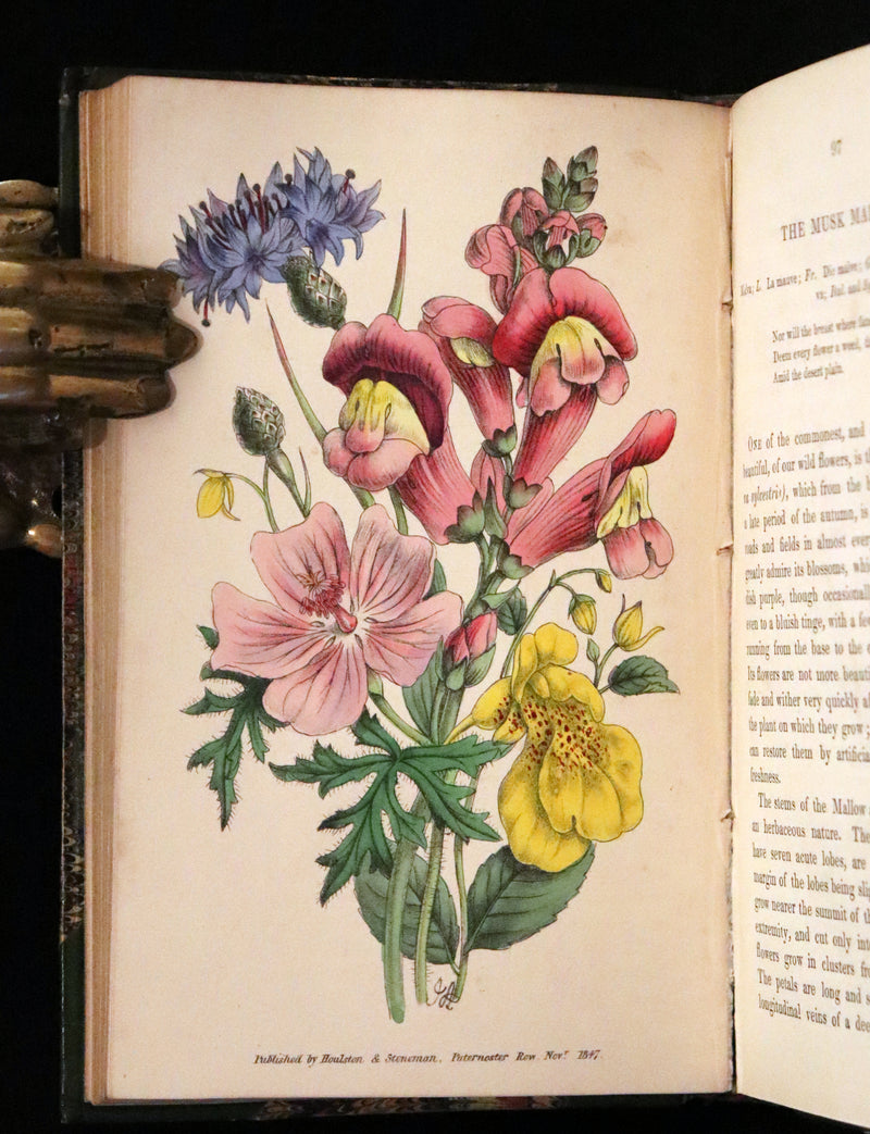 1848 Rare First Edition Set -  Favourite Field Flowers; or, Wild Flowers of England by Robert Tyas.