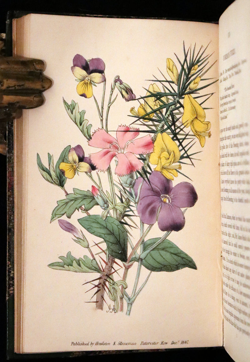 1848 Rare First Edition Set -  Favourite Field Flowers; or, Wild Flowers of England by Robert Tyas.