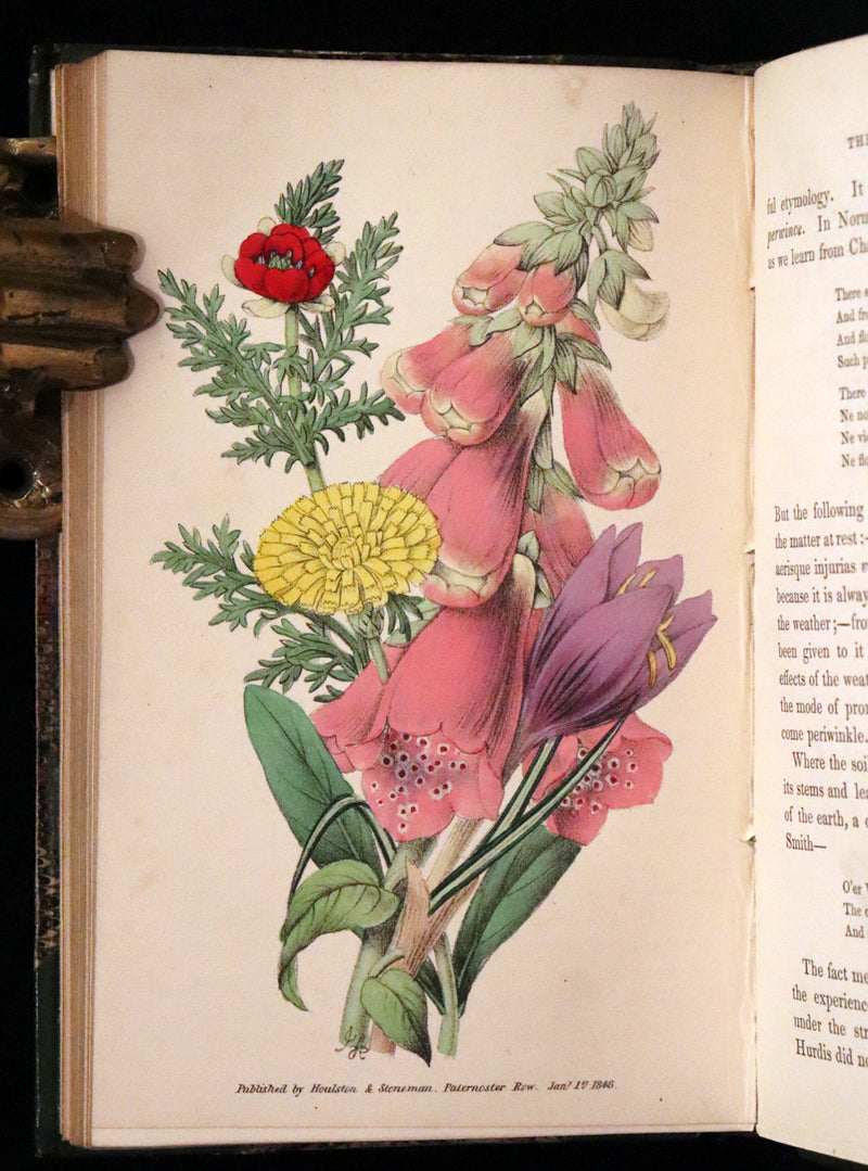 1848 Rare First Edition Set -  Favourite Field Flowers; or, Wild Flowers of England by Robert Tyas.