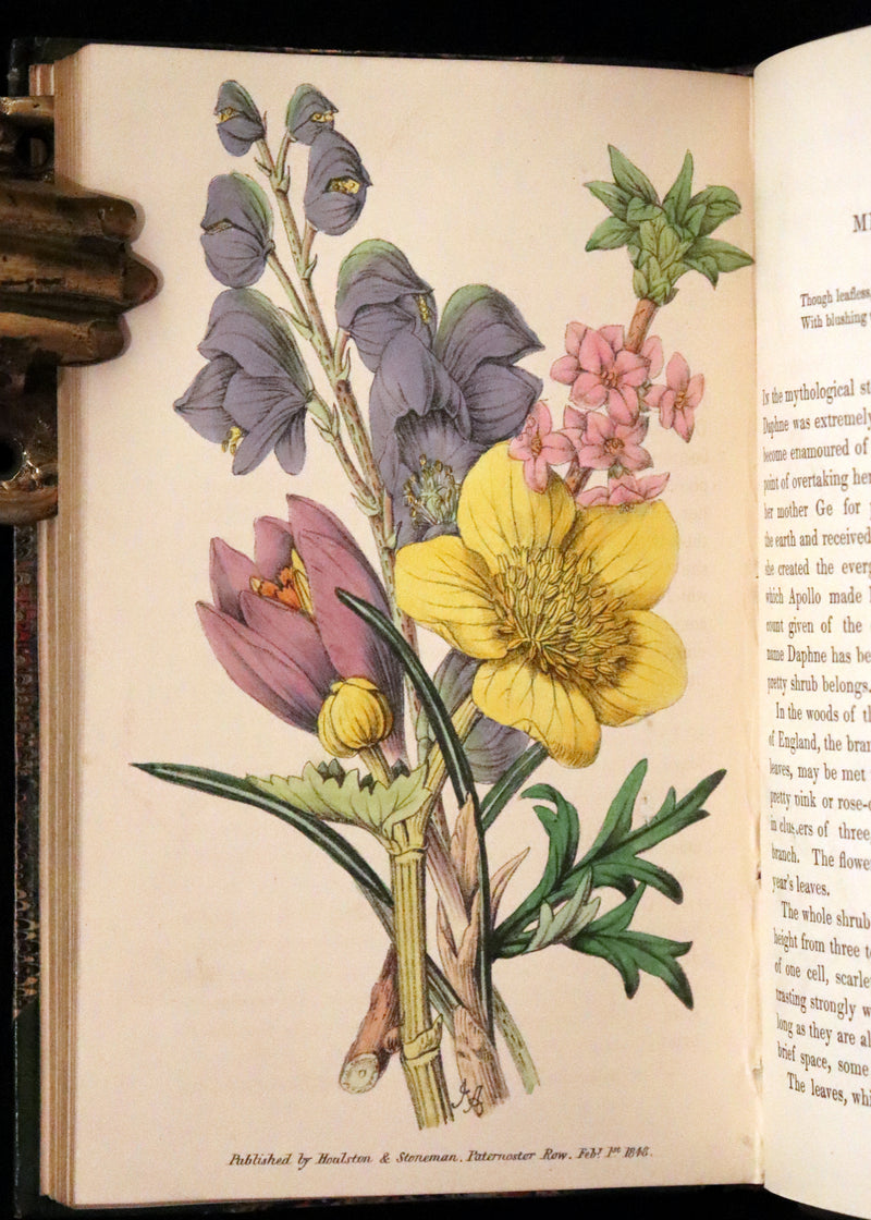 1848 Rare First Edition Set -  Favourite Field Flowers; or, Wild Flowers of England by Robert Tyas.