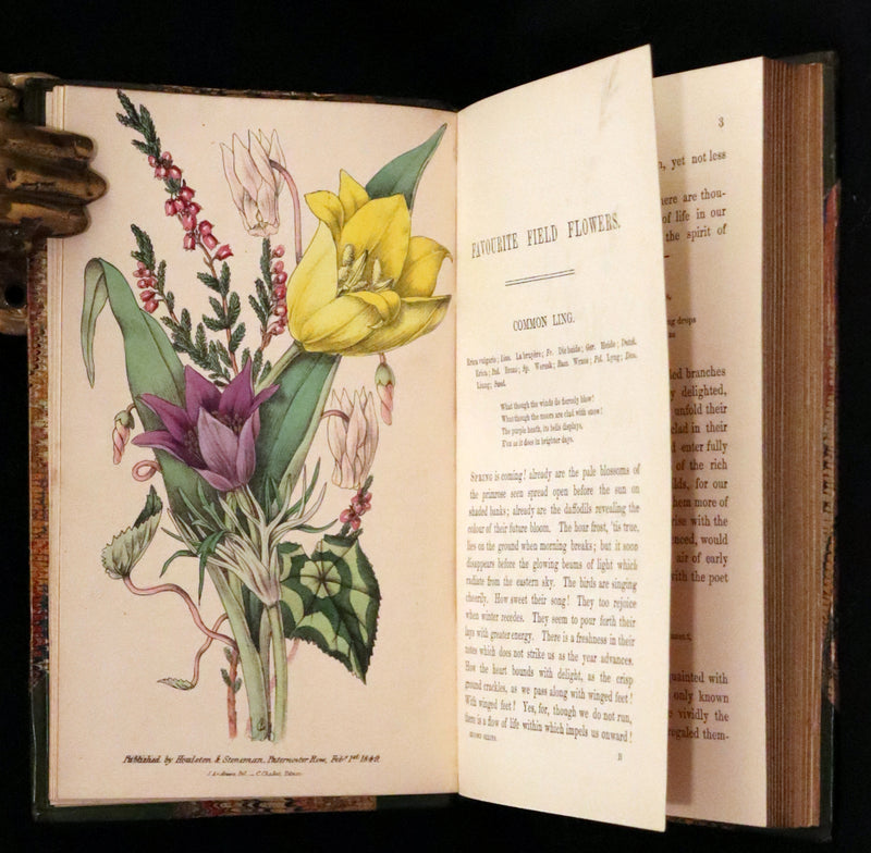 1848 Rare First Edition Set -  Favourite Field Flowers; or, Wild Flowers of England by Robert Tyas.