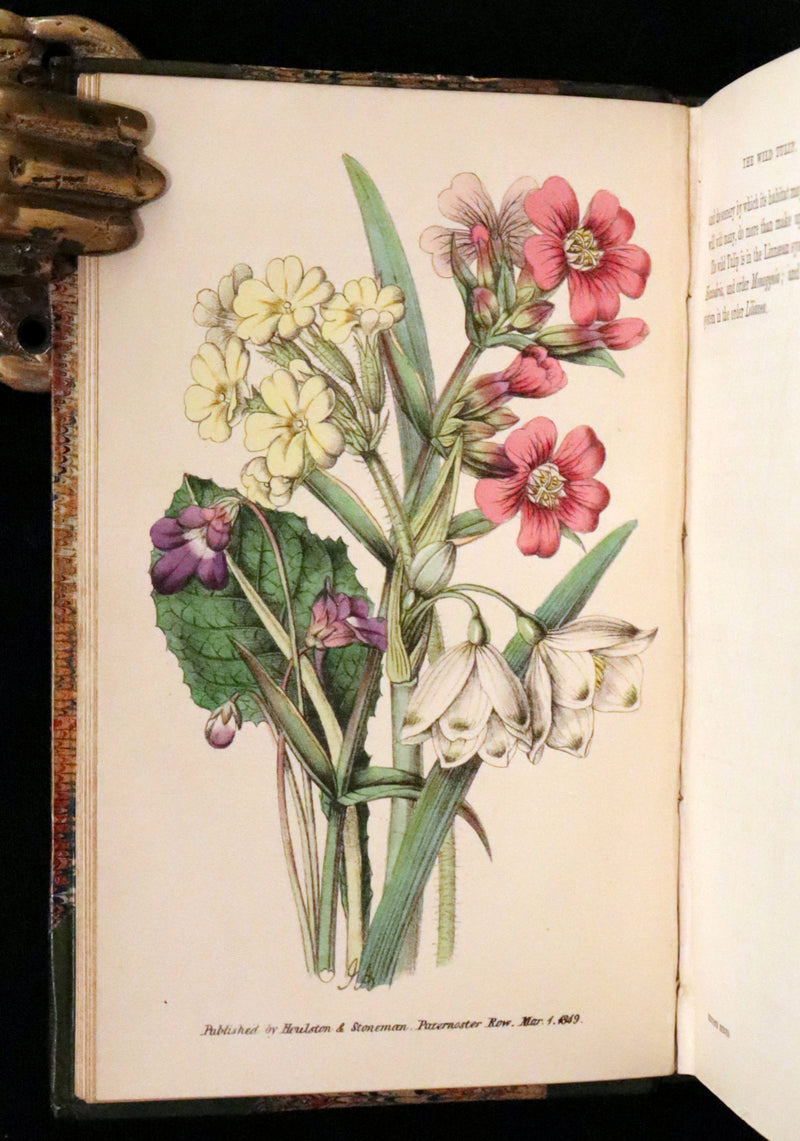 1848 Rare First Edition Set -  Favourite Field Flowers; or, Wild Flowers of England by Robert Tyas.