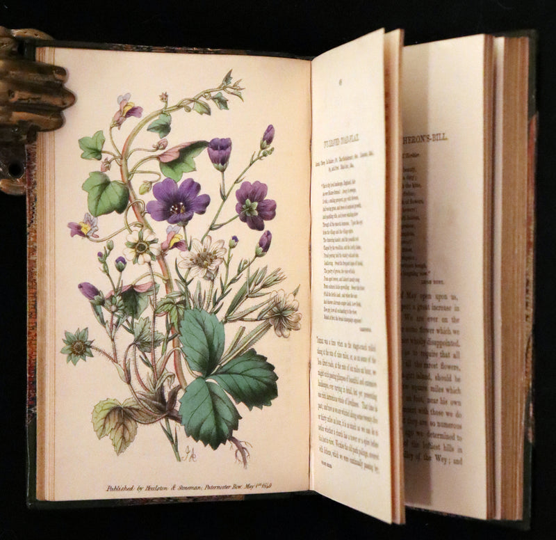 1848 Rare First Edition Set -  Favourite Field Flowers; or, Wild Flowers of England by Robert Tyas.