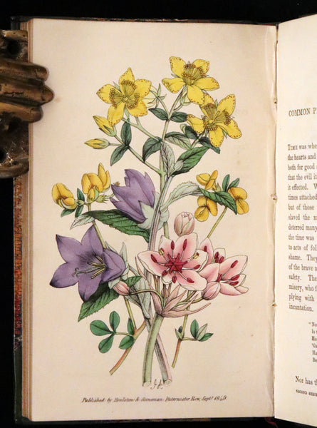 1848 Rare First Edition Set -  Favourite Field Flowers; or, Wild Flowers of England by Robert Tyas.