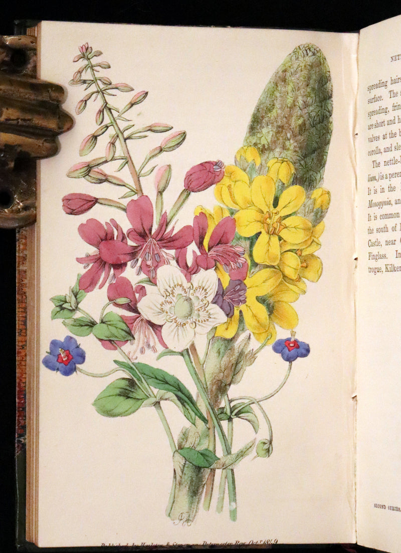 1848 Rare First Edition Set -  Favourite Field Flowers; or, Wild Flowers of England by Robert Tyas.