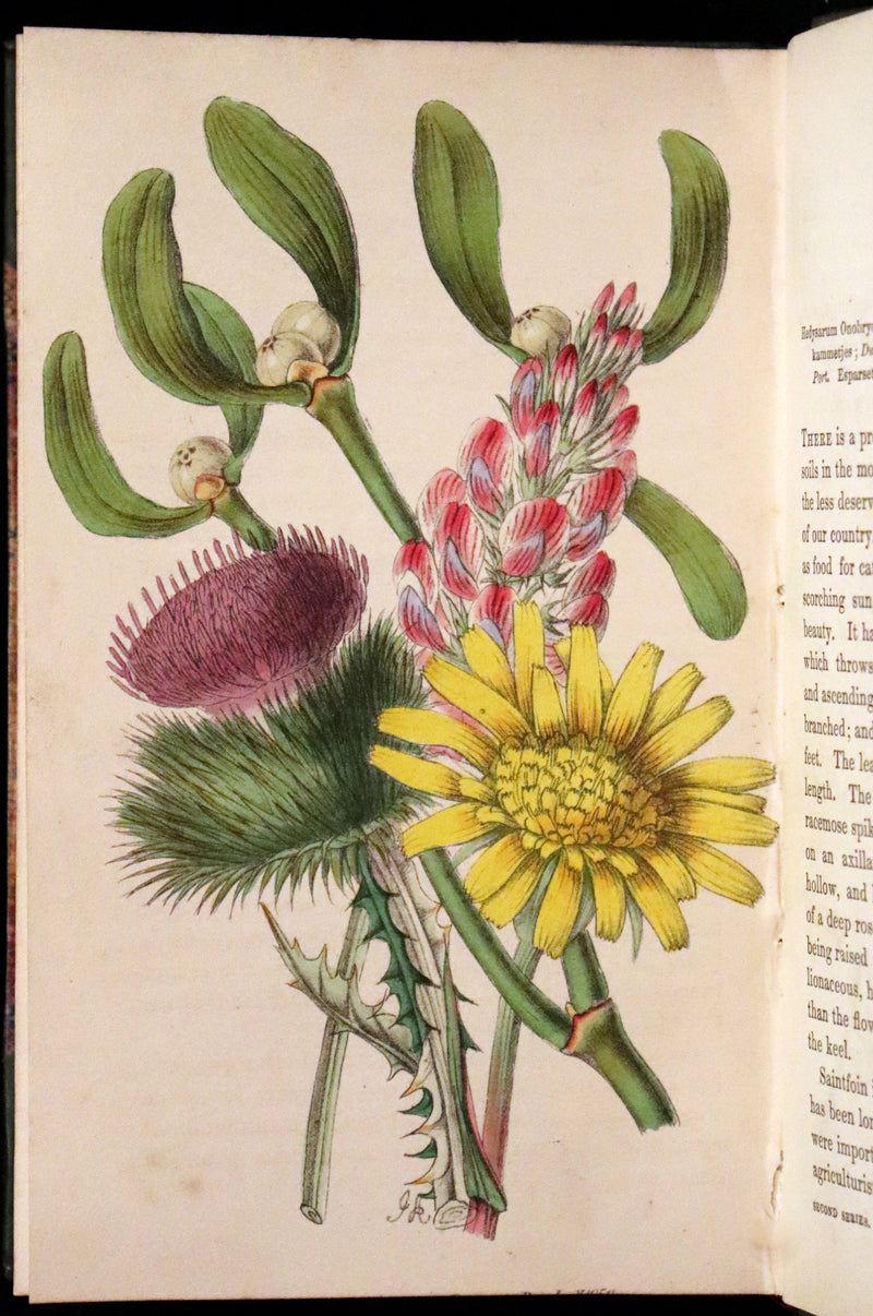 1848 Rare First Edition Set -  Favourite Field Flowers; or, Wild Flowers of England by Robert Tyas.