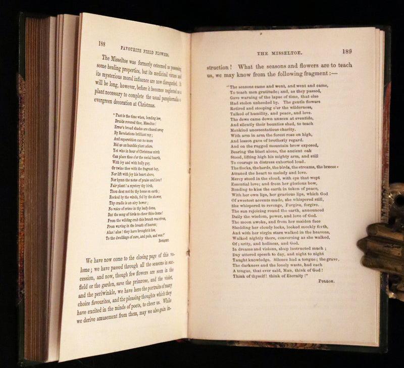 1848 Rare First Edition Set -  Favourite Field Flowers; or, Wild Flowers of England by Robert Tyas.