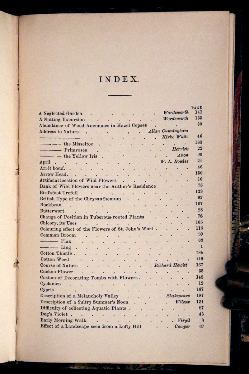 1848 Rare First Edition Set -  Favourite Field Flowers; or, Wild Flowers of England by Robert Tyas.