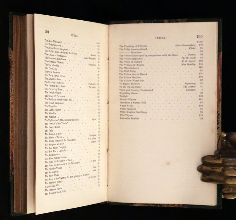1848 Rare First Edition Set -  Favourite Field Flowers; or, Wild Flowers of England by Robert Tyas.