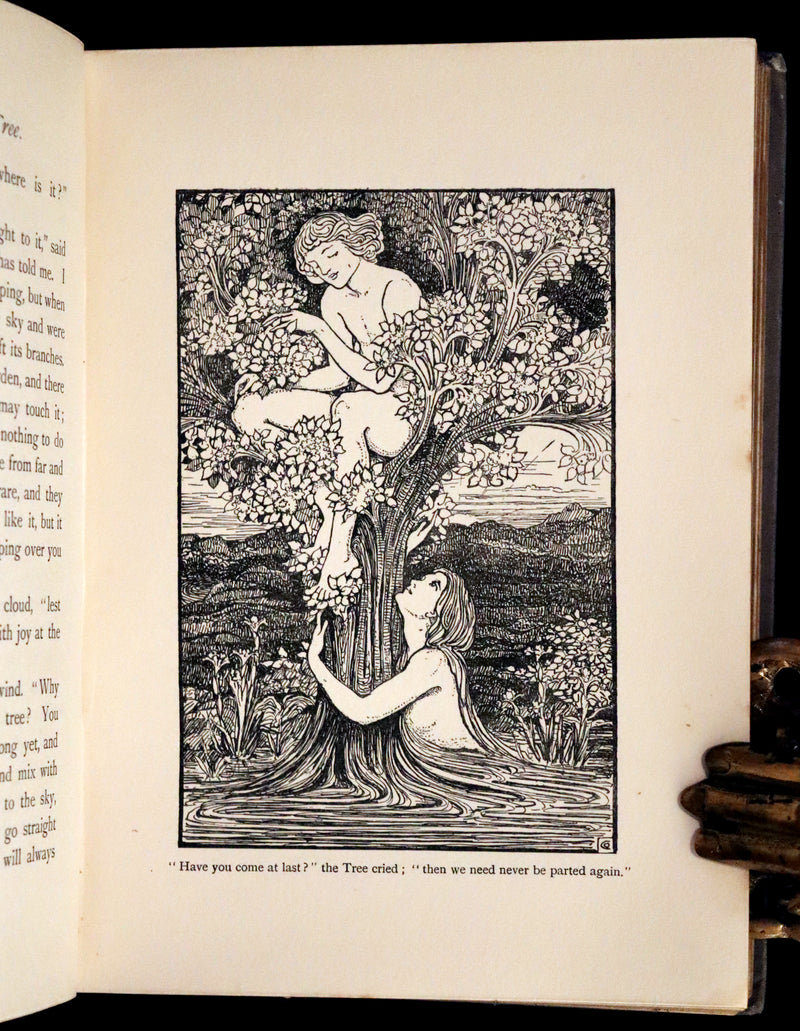 1900 Scarce First Edition - The Windfairies and Other Tales by Mary De Morgan illustrated by Olive Cockerell.