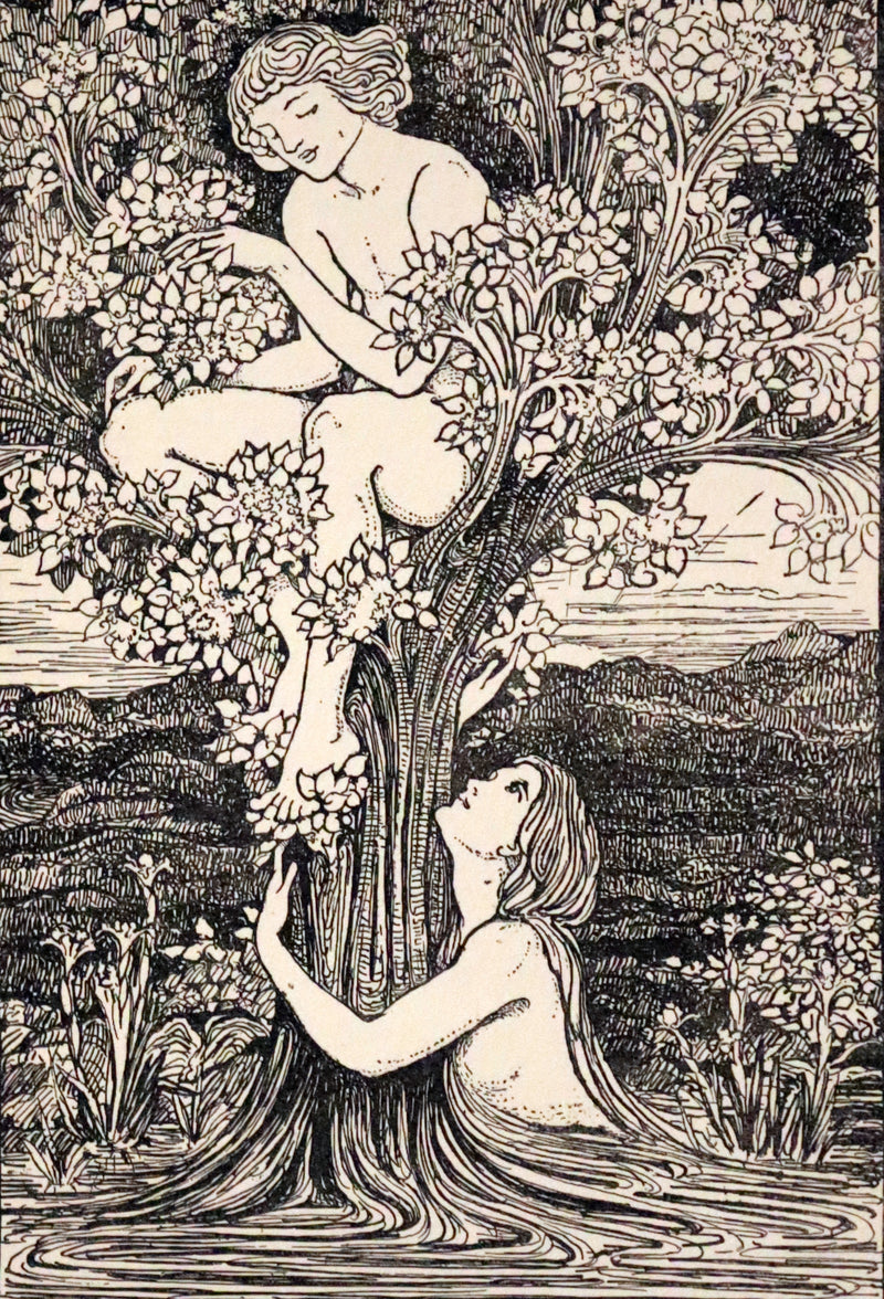 1900 Scarce First Edition - The Windfairies and Other Tales by Mary De Morgan illustrated by Olive Cockerell.