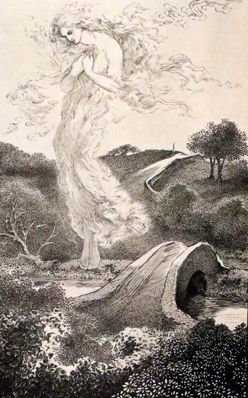 1900 Rare Book - At the Back od the North Wind by George MacDonald illustrated by Arthur Hughes.