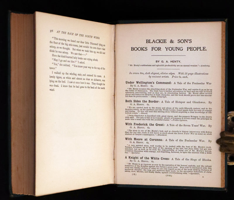 1900 Rare Book - At the Back od the North Wind by George MacDonald illustrated by Arthur Hughes.