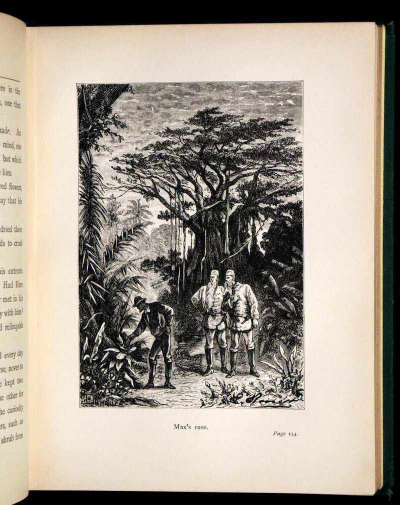 1887 Rare Edition - Jules Verne - The Begum's Fortune. With an account of the mutineers of the "Bounty".